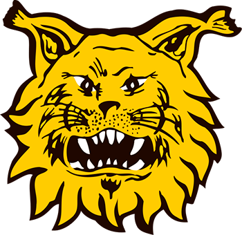 Kotijoukkueen logo