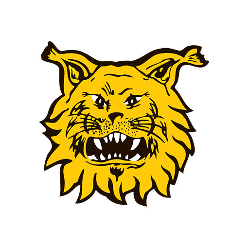 Ilves